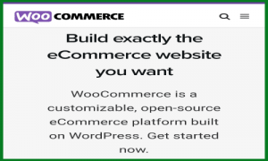 Jasa Pembuatan website wordpress dan toko online WooCommerce