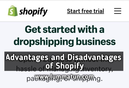 Advantages and Disadvantages of Shopify