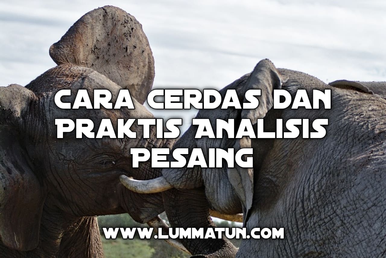 Analisis Pesaing